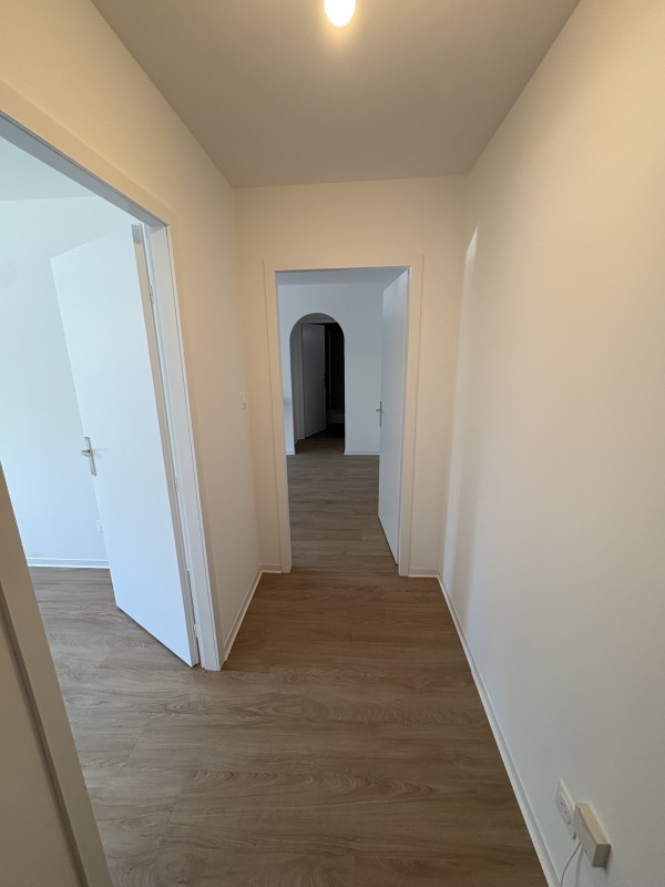 Coup de frais pour un appartement locatif sur Wolfisheim 