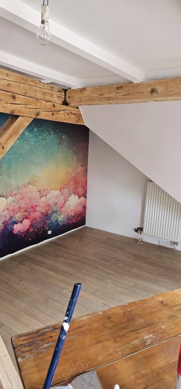 mise en peinture Strasbourg avec avant après