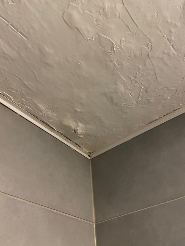 Refaire la peinture des murs après un dégât des eaux à Strasbourg