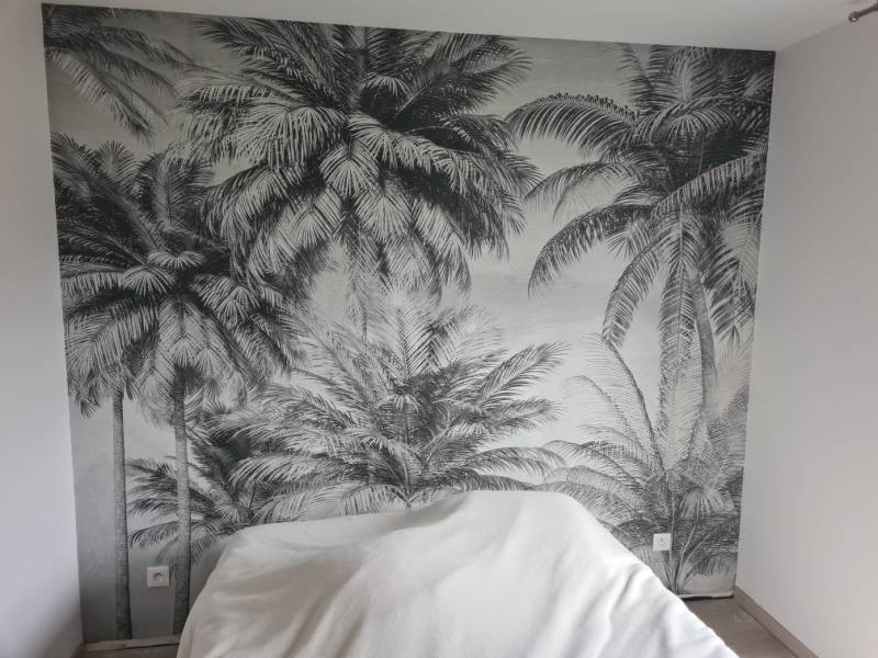 Faire poser un papier peint panoramique par un professionnel avec devis de 150 à 200€ à Hangenbieten proche de Strasbourg