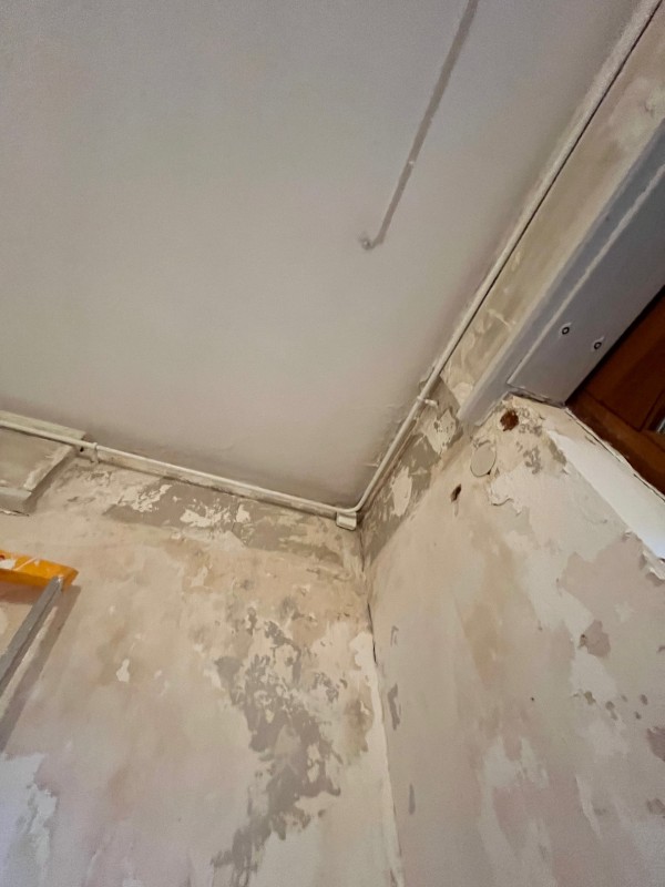 Refaire la peinture des murs après un dégât des eaux à Strasbourg