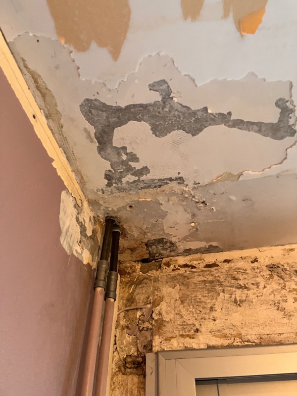 Refaire la peinture des murs après un dégât des eaux à Strasbourg