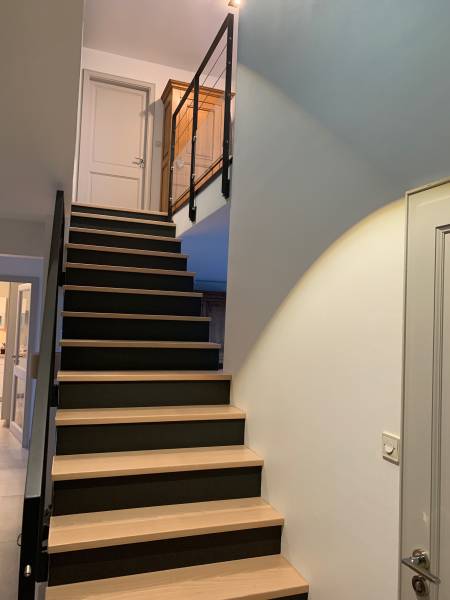 Transformation d’un escalier en béton avec garde-corps sur mesure dans le quartier de La Robertsau, Strasbourg